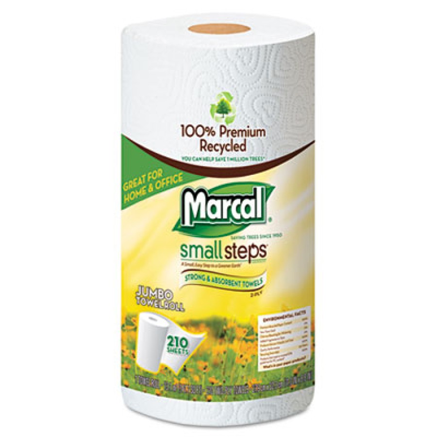 Paper Towel Rolls Paper Towel Rolls - Aborbent, virtually lint-free, two-ply paper towels.TOWEL,MAXI