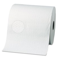 Paper Towel Roll Paper Towel Roll - Georgia Pacific Nonperforated Paper Towel RollsTWL,RL,2PLY,WHI,3